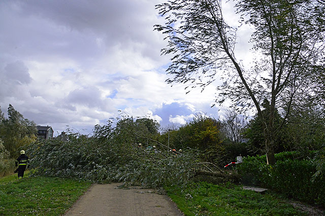 2013/267/GB 20131028e 004 Stormschade Ringvaartdijk 51.jpg